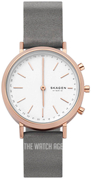 Skagen skw2677 best sale