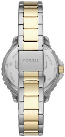 ES4784 Fossil Izzy | TheWatchAgency™