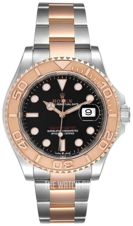 yacht master 37mm rose gold