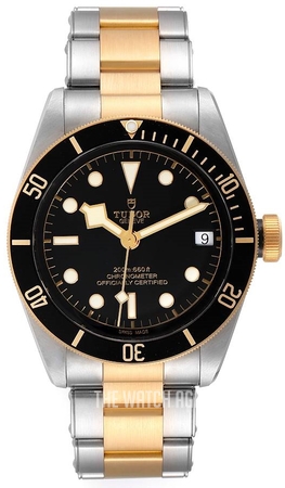 79733n-0002 Tudor Heritage | TheWatchAgency™