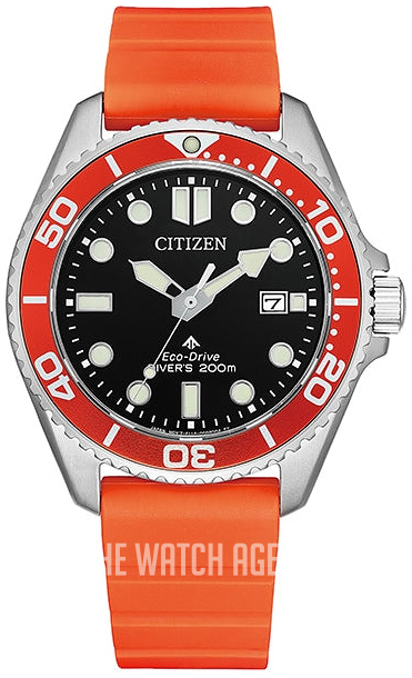 BN0000-04H Citizen Professional Diver | TheWatchAgency.com