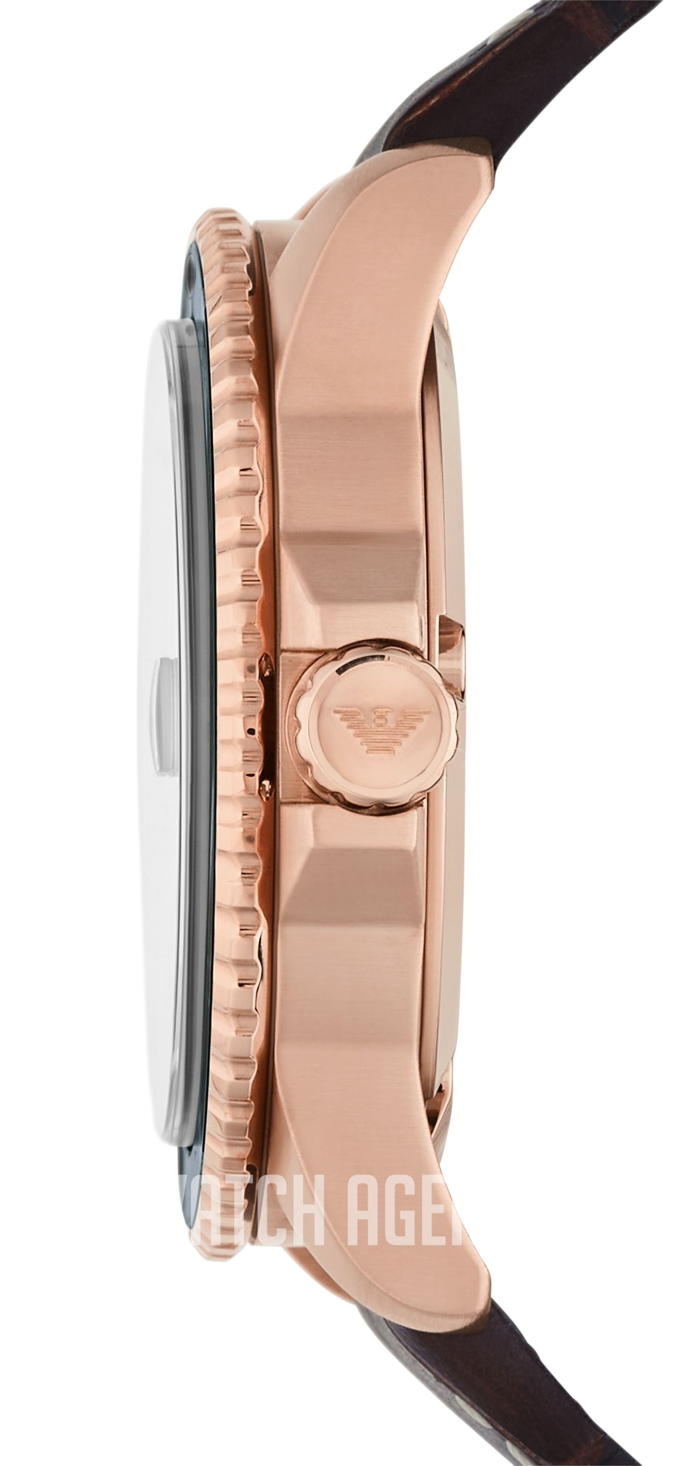 AR11556 Emporio Armani World Explorer | TheWatchAgency.com